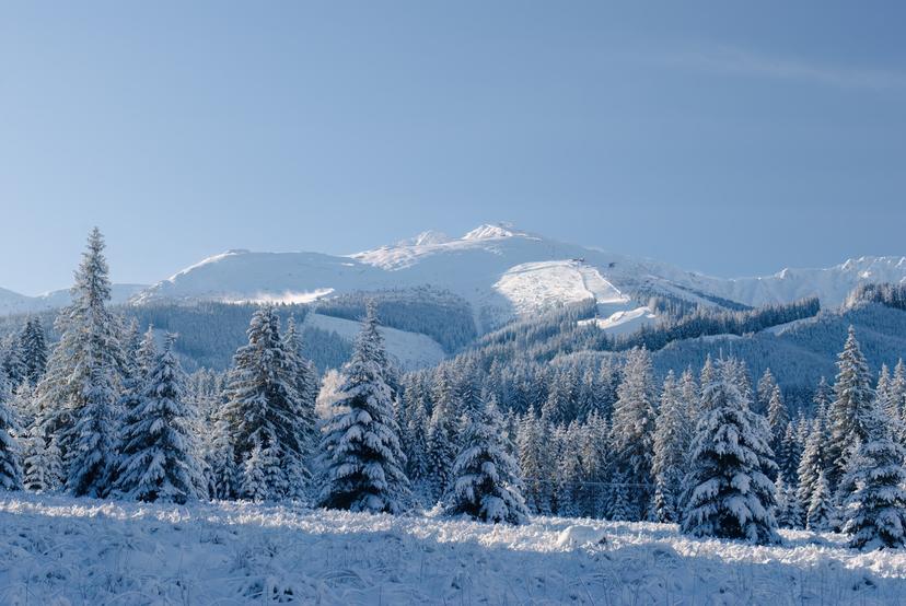 Snowy trees below ski resort of Jasna in Slovenia